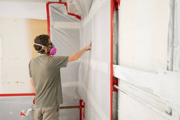 Best Crawl Space Mold Remediation  in Alice, TX