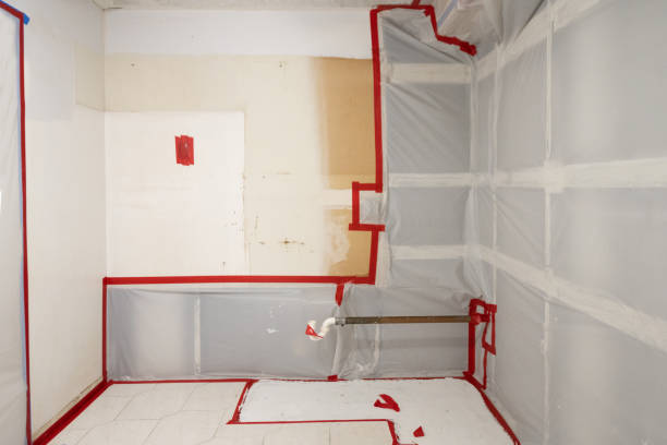Best Asbestos and Lead Testing During Mold Inspection  in Alice, TX