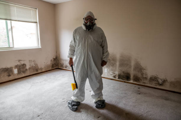 Best Mold Remediation for Healthcare Facilities  in Alice, TX